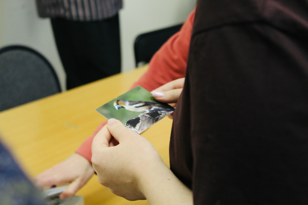 Избражения для Lasst uns über Vögel reden